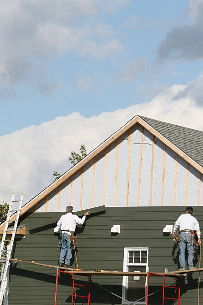 Best Historical Building Siding Restoration  in Naples, UT