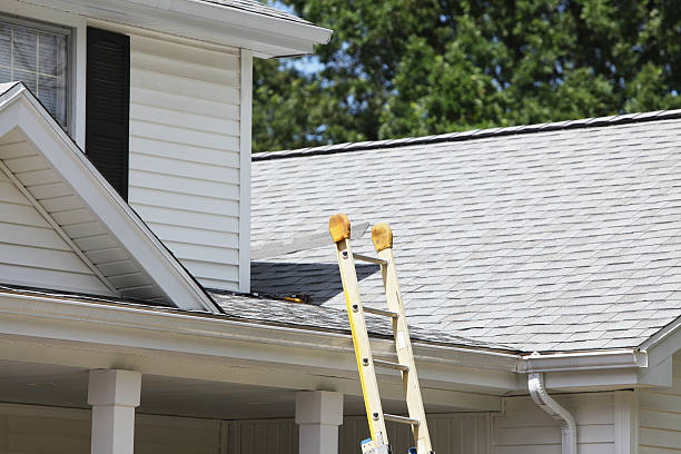 Best Stucco Siding  in Naples, UT